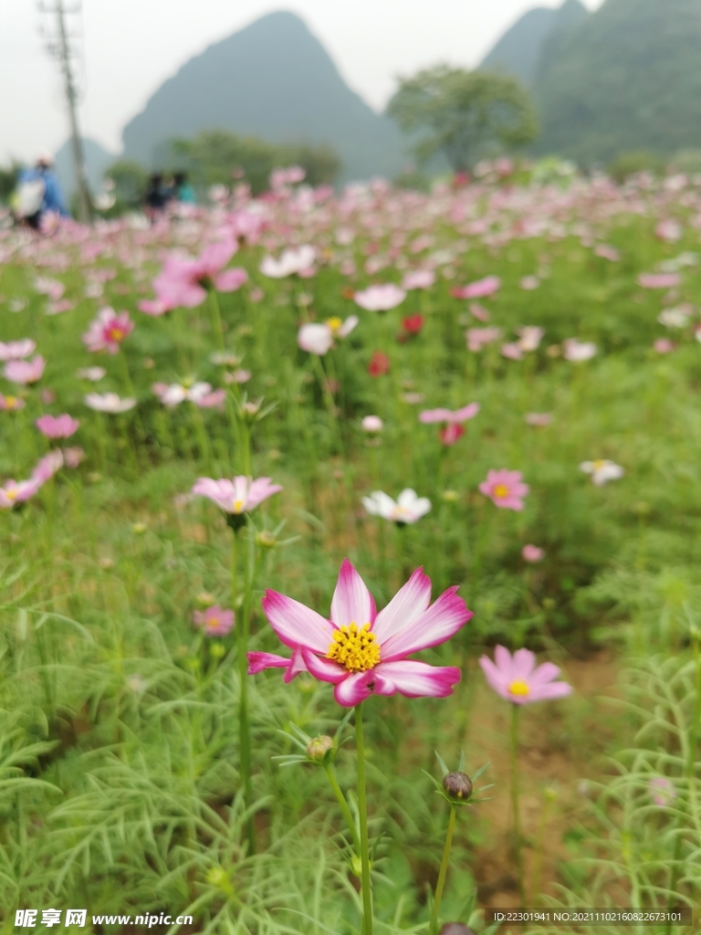 桂林山水 