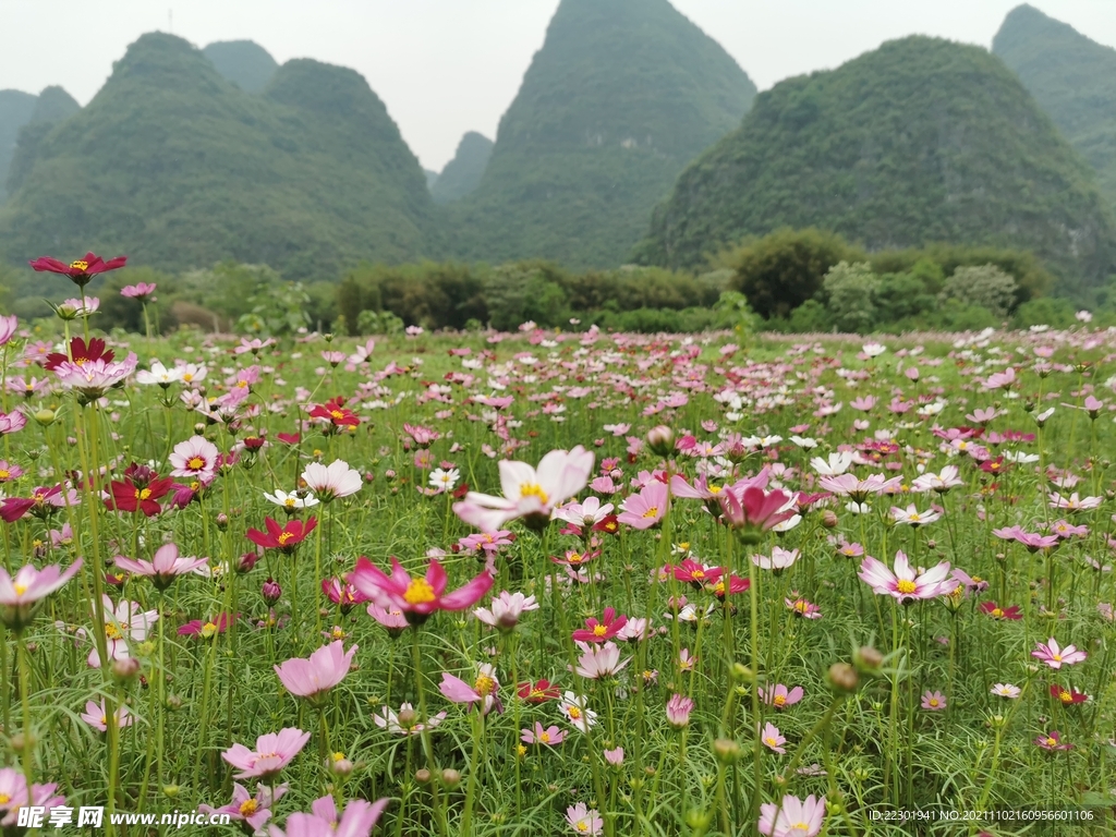 桂林山水