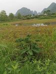 桂林山水