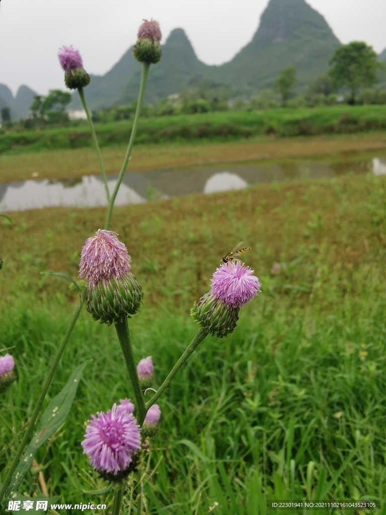 桂林山水 