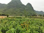 桂林山水