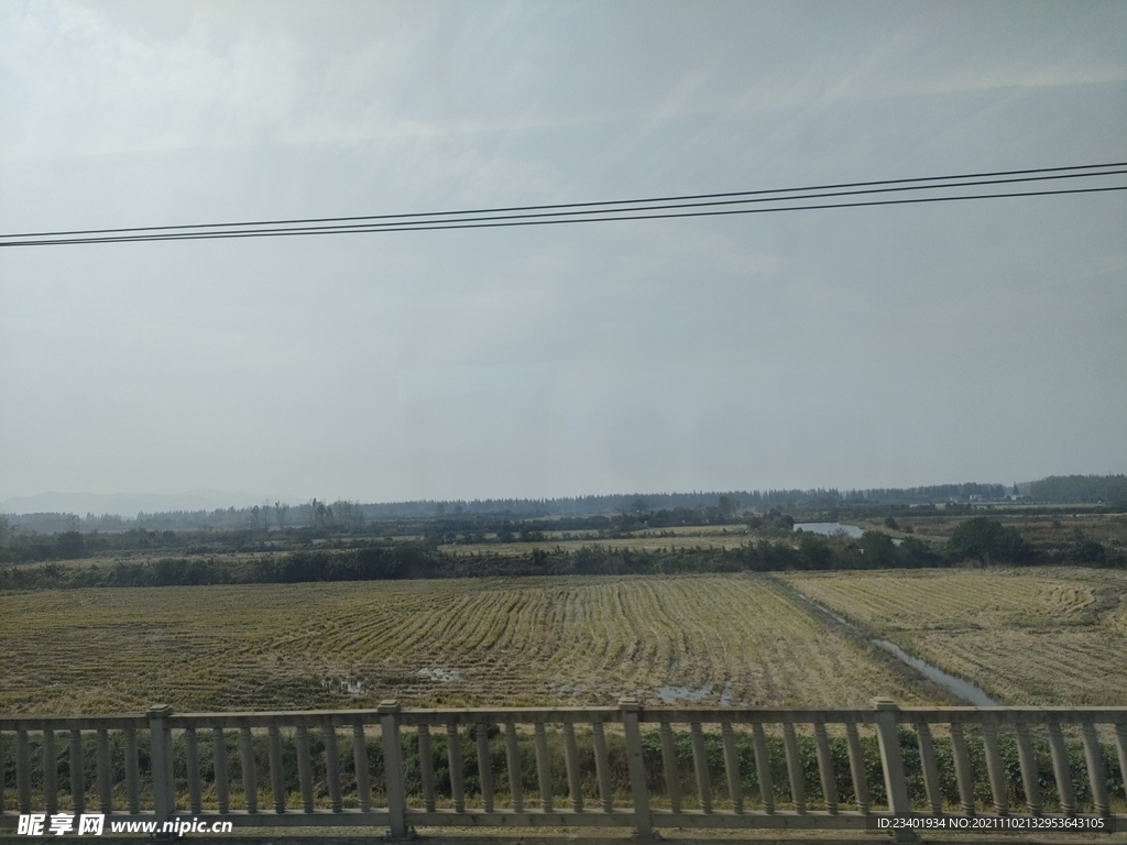 高铁窗外风景农田水田