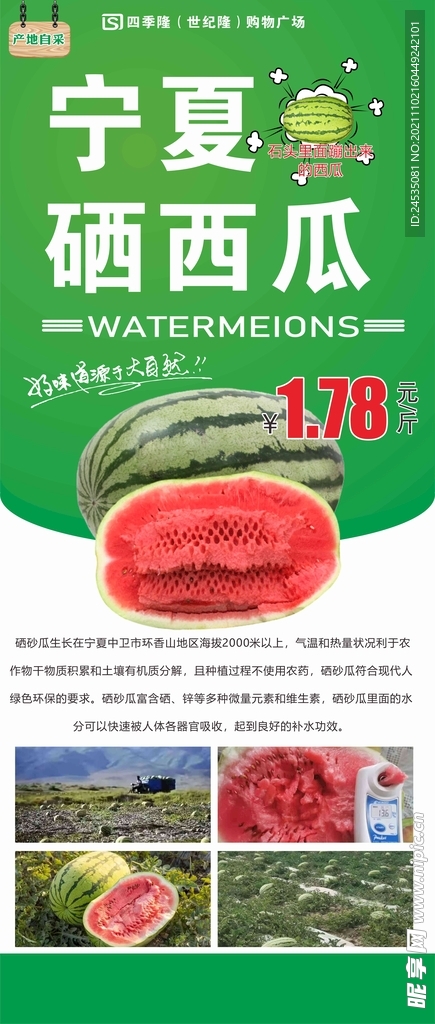 宁夏硒西瓜