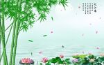 富贵竹