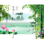 富贵竹