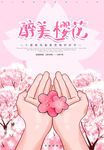 樱花节