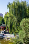 石家庄平安公园