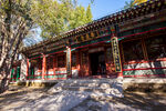 荣国府