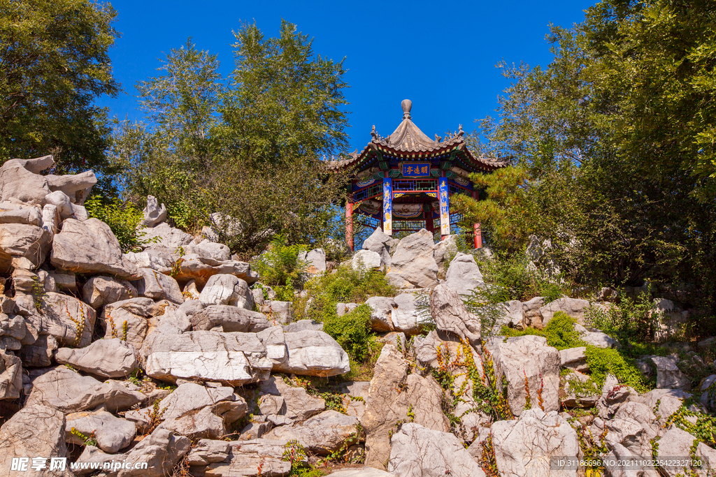 隆兴寺