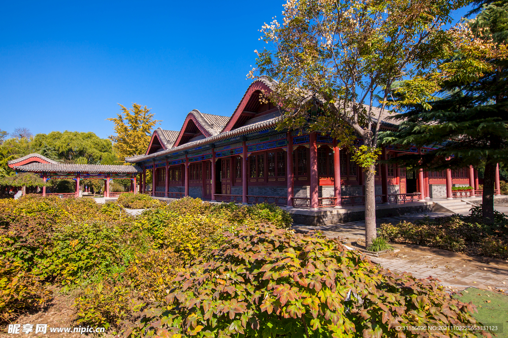 隆兴寺