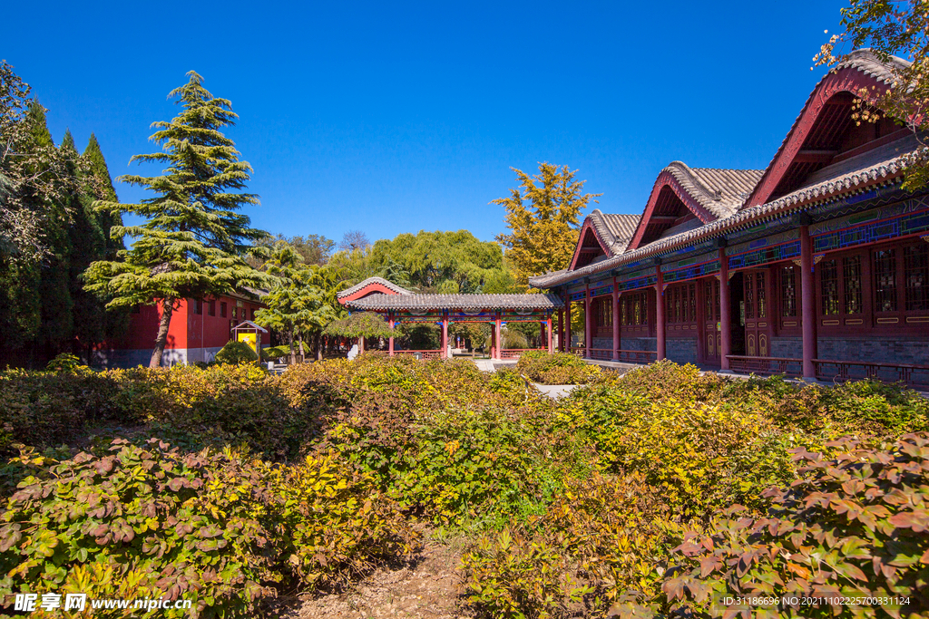 隆兴寺