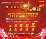 会下蛋的金鸡