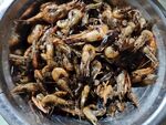 油炸小虾米