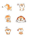 柴犬 狗狗合集 分层狗狗