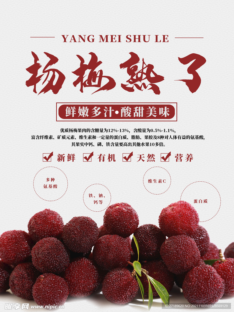 新鲜杨梅水果宣传海报