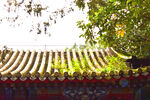 树木掩映下的中国古典琉璃瓦房顶