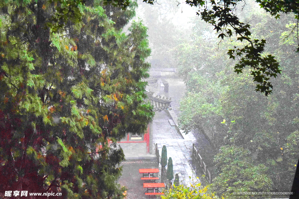 雨中台阶