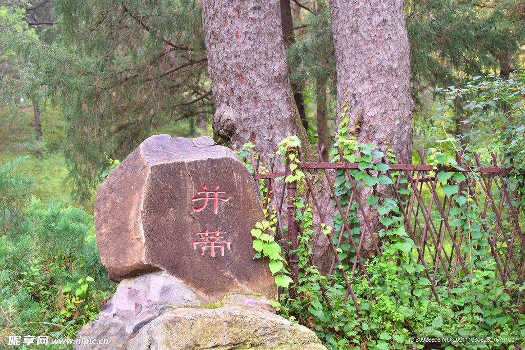 北京香山公园并蒂石碑