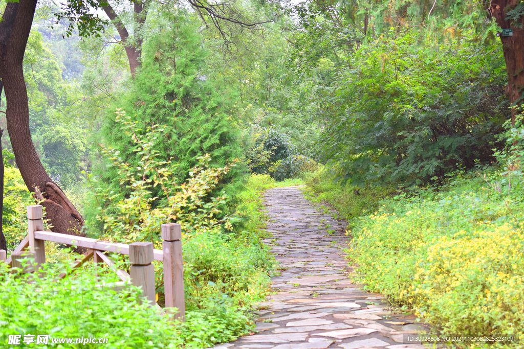 山林小路