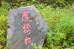 北京香山公园石碑