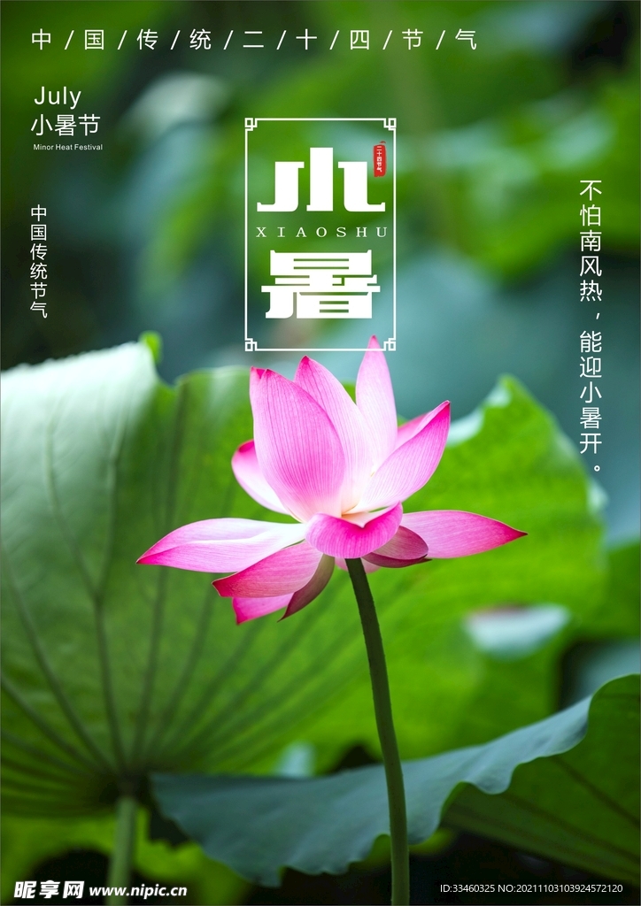 小暑