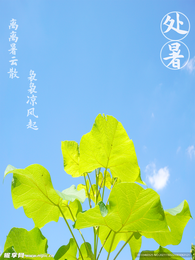 处暑