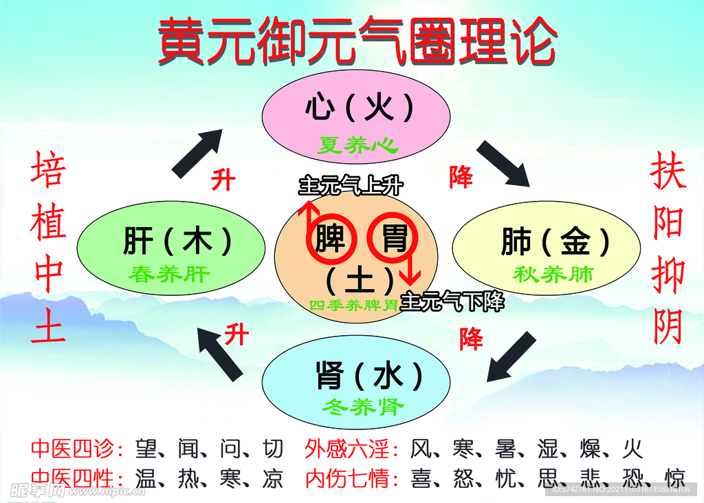 中医元气圈理论