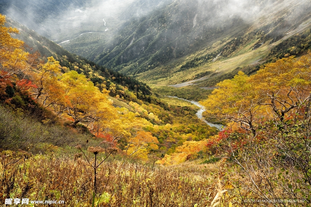 秋季山谷森林