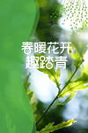 春天海报