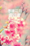 春天海报