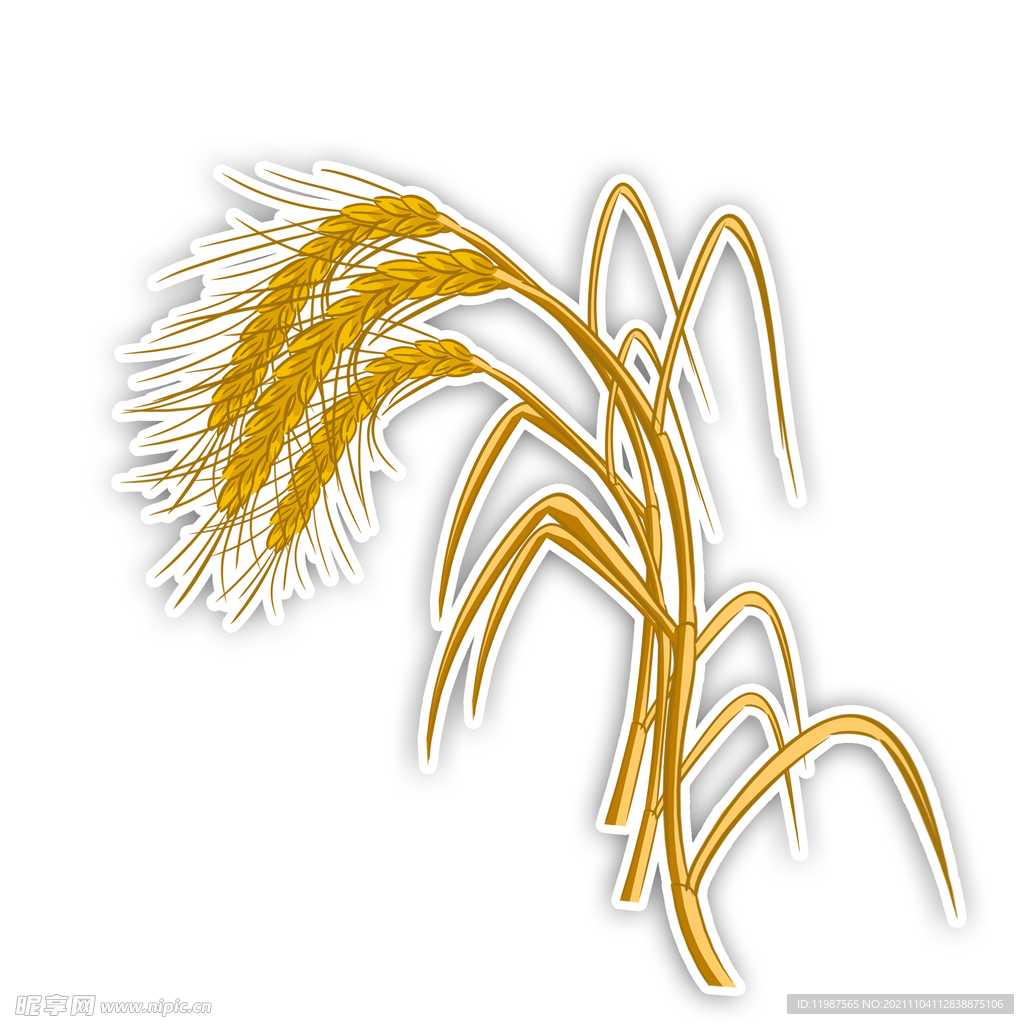 小麦麦子粮食收成面粉农作物卡通