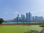 梅溪湖风景风光