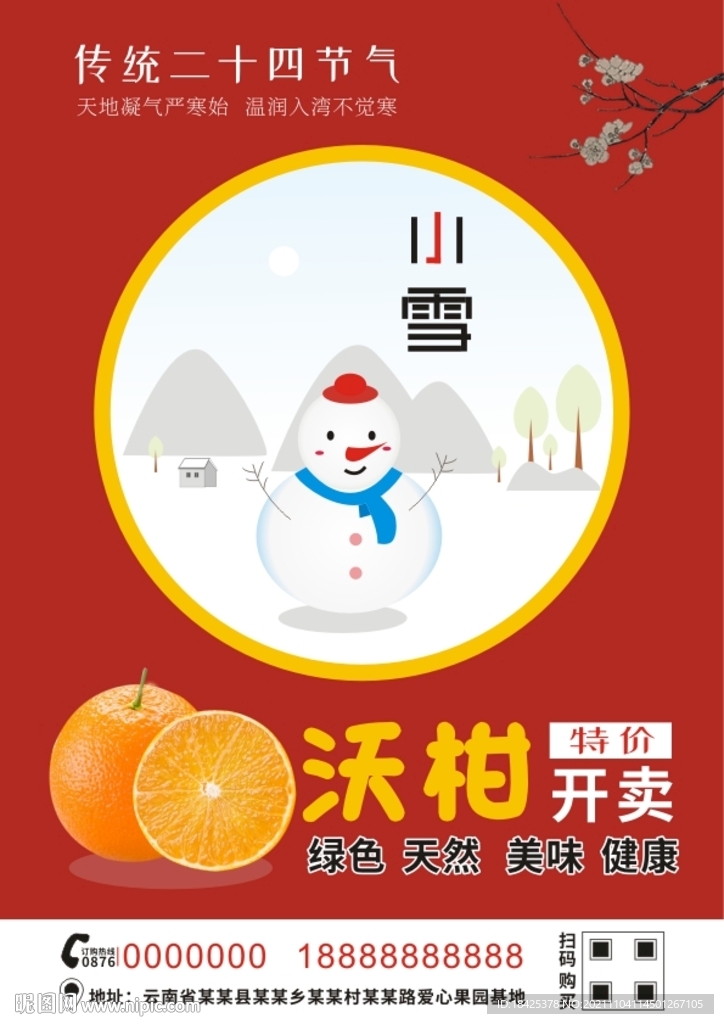 小雪沃柑促销