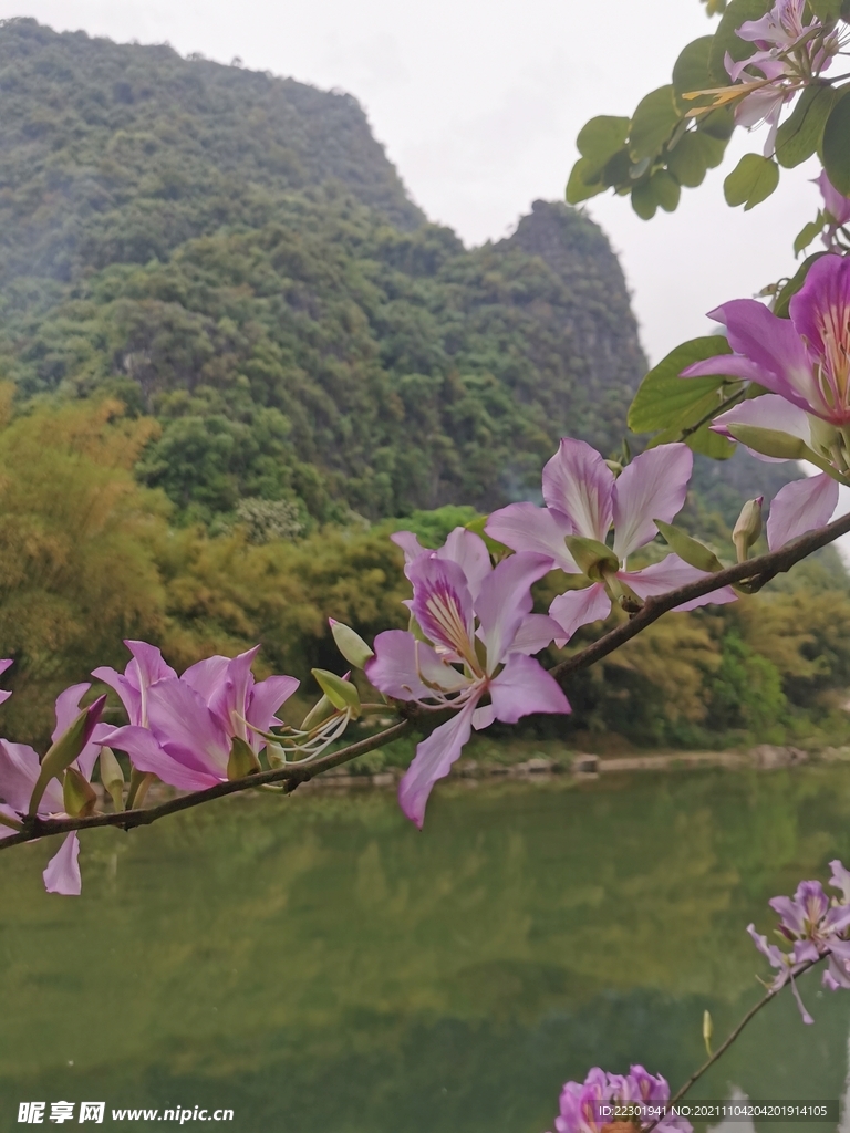 桂林山水 