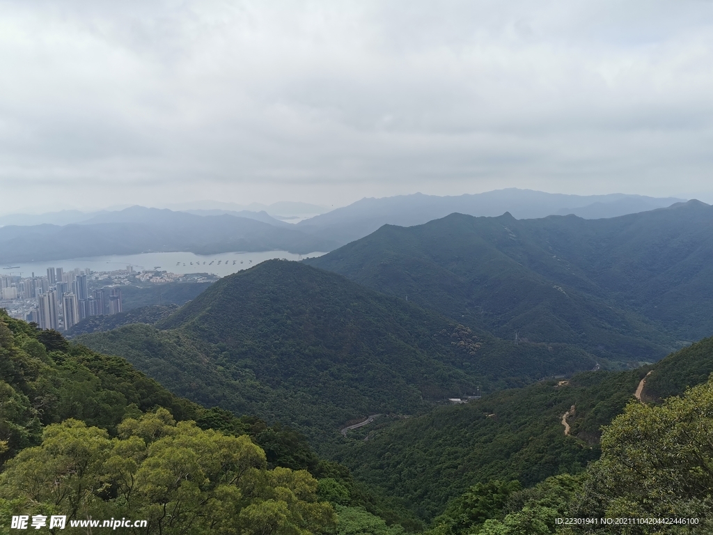 乡间小路 