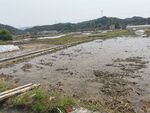 乡间小路 