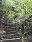 爬山 山路