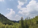 蓝天白云
