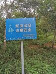 乡间小路  