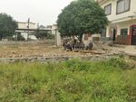 乡间小路 