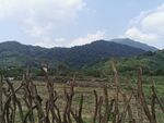 大山