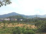 乡间小路 