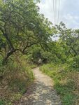 乡间小路