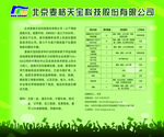 绿色背景海报
