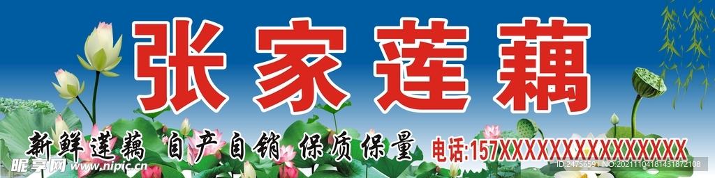 莲藕 莲菜 莲花