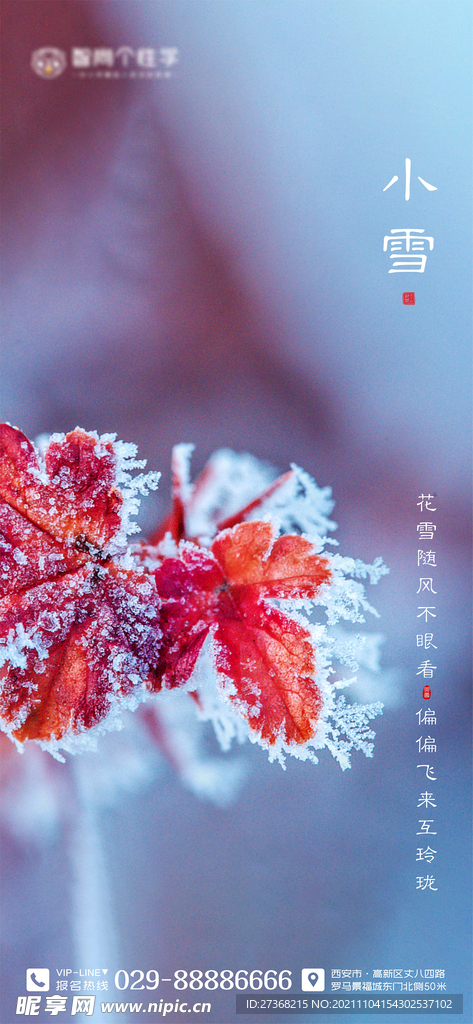 二十四节气海报 小雪海报