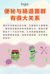 便秘与肠道菌群有很大关系