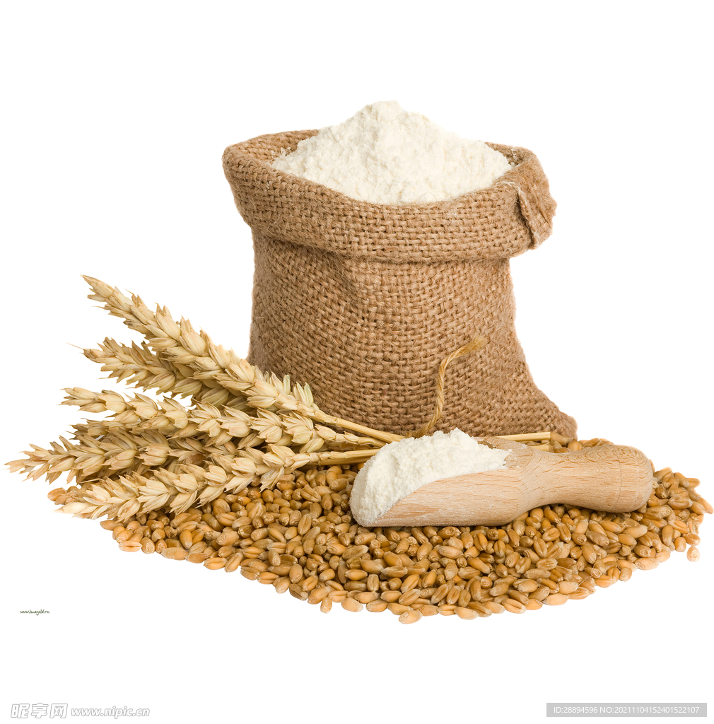 高清麦穗免抠png实物面粉