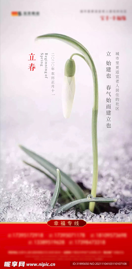 立春