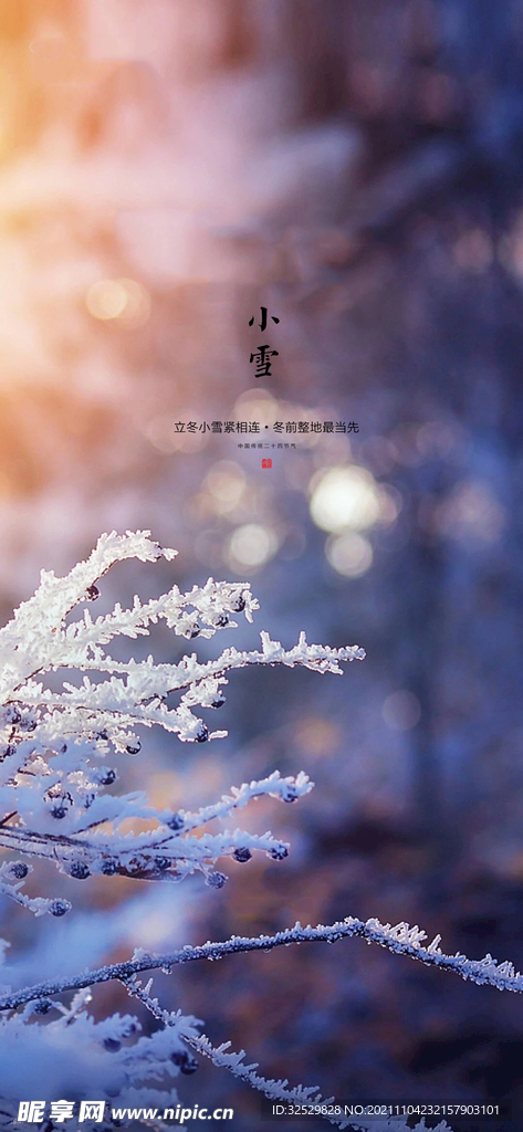 小雪